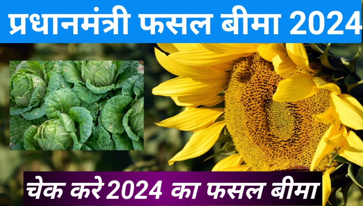 pm fasal bima yojana