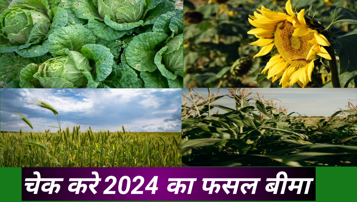 pm fasal bima yojana